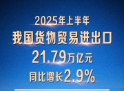 海关总署：上半年我国货物贸易进出口同比增长2.9%